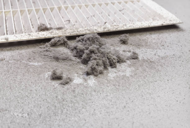 Best Professional Duct Cleaning Services  in Attica, IN